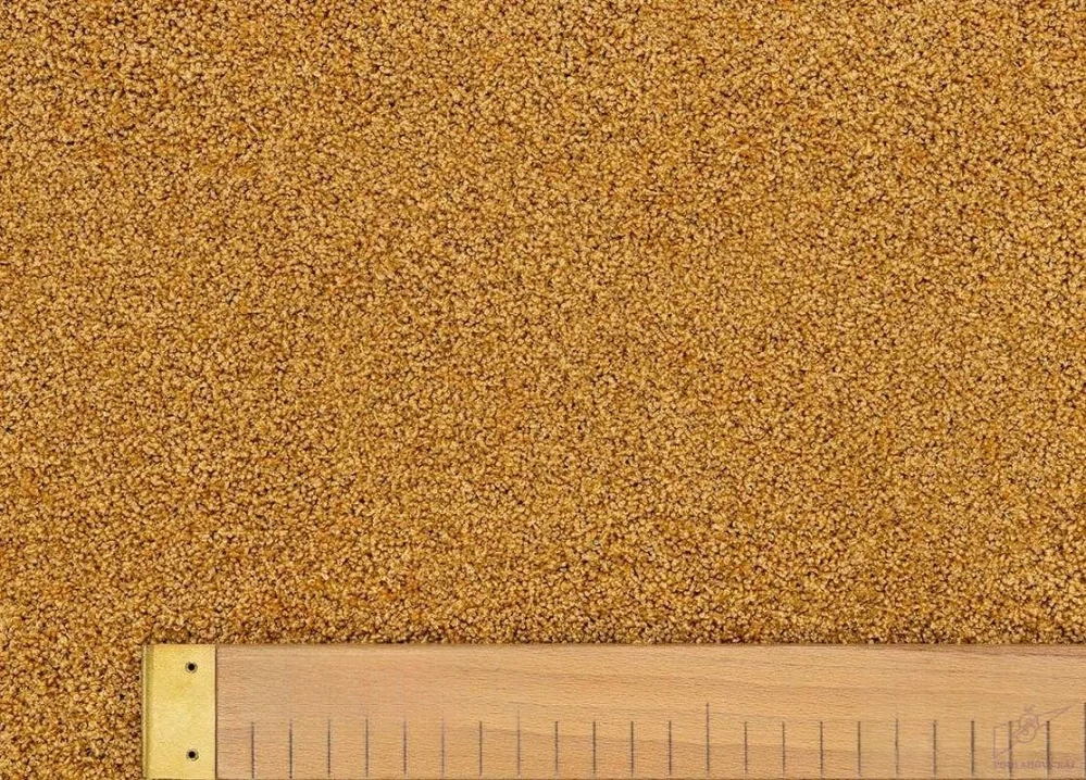 Kusový koberec DOLCE VITA 01/YYY 80x150 cm